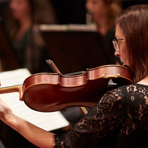 Riverlinks and Melbourne Symphony Orchestra present An Evening with the MSO