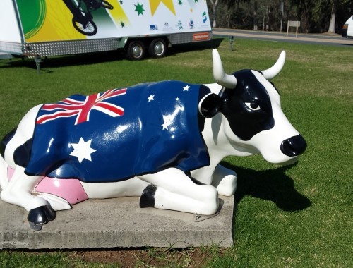Aussie Flag Cow