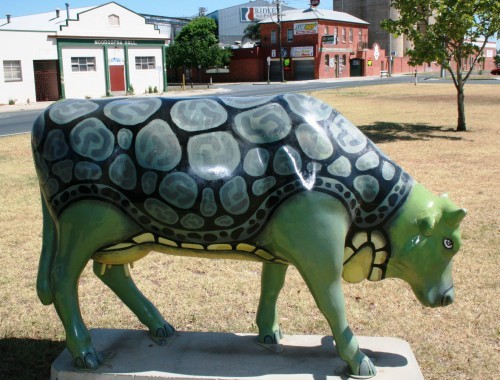 Turtle Cow