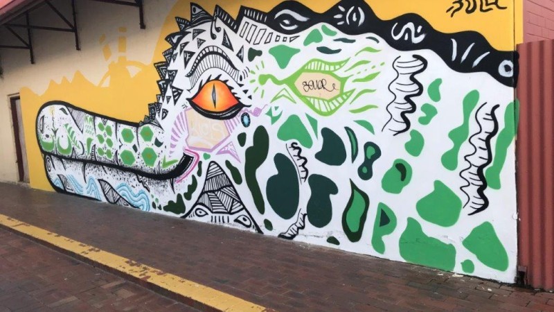 Shepparton Festival Street Art Murals - UNIFY 2021